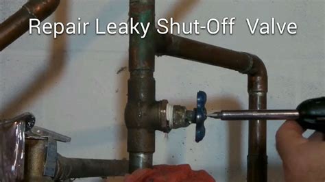 How to Fix a Leaking Shut Off Valve in Minutes